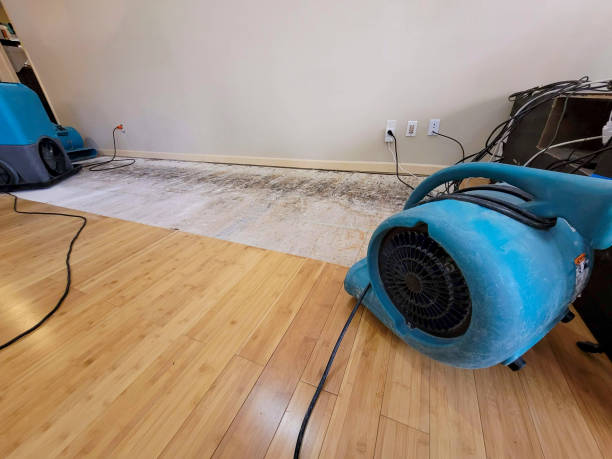 Professional Emergency Water Damage technician working in Seven Springs, NC